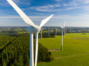Windräder stehen auf grüner Wiese. Blauer Himmel